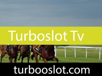 Turboslot tv hizmetini kalitesiyle sunan yapıdadır.